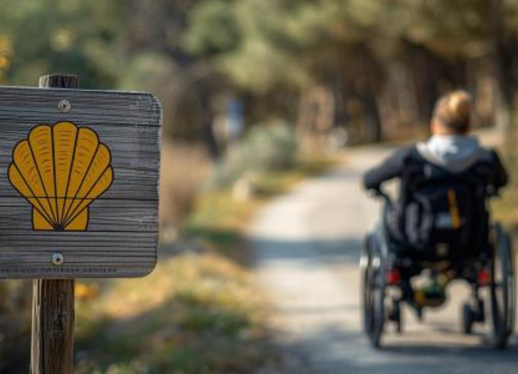 El Camino de Santiago, una experiencia cada vez más accesible para las personas con discapacidad